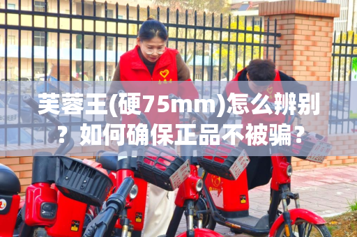 芙蓉王(硬75mm)怎么辨别？如何确保正品不被骗？
